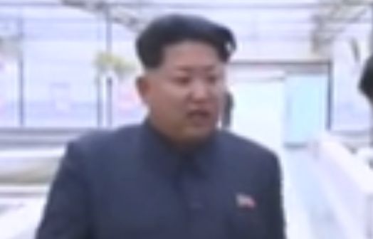 【動画】金正恩氏のスッポン工場「処刑前」の現地指導