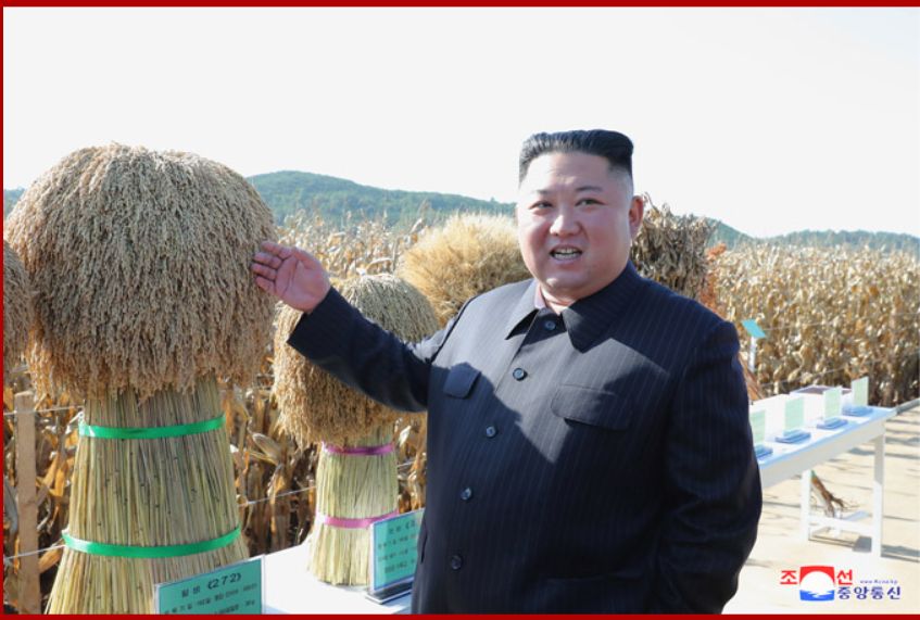 「電気の使いすぎは懲役刑」北朝鮮の過激な省エネ対策